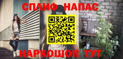 прущие грибы Кандалакша