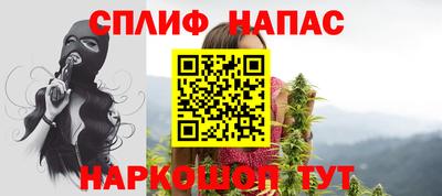 прущие грибы Кандалакша