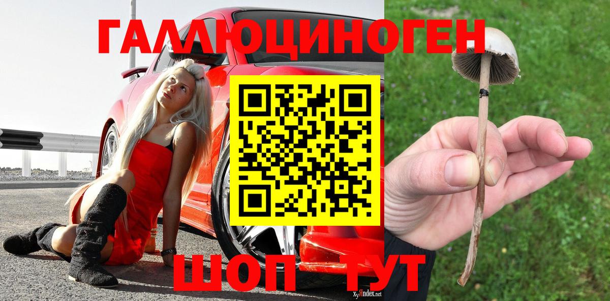 Лесосибирск  Псилоцибиновые грибы Psilocybine cubensis  Псилоцибиновые грибы мицелий  Вход с VPN 